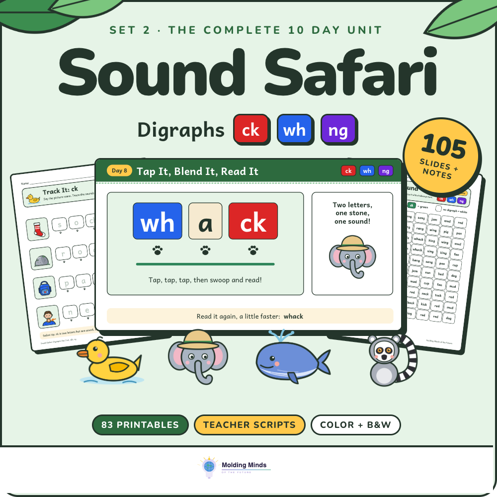 Sound Safari Set 2:Digraphs ck, wh, ng with slides and printables
