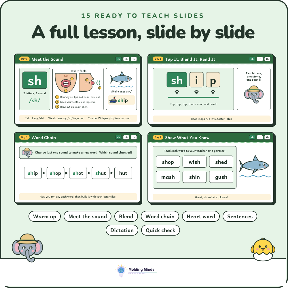 A full phonics lesson slide by slide:warm-up, blending, word chains, dictation