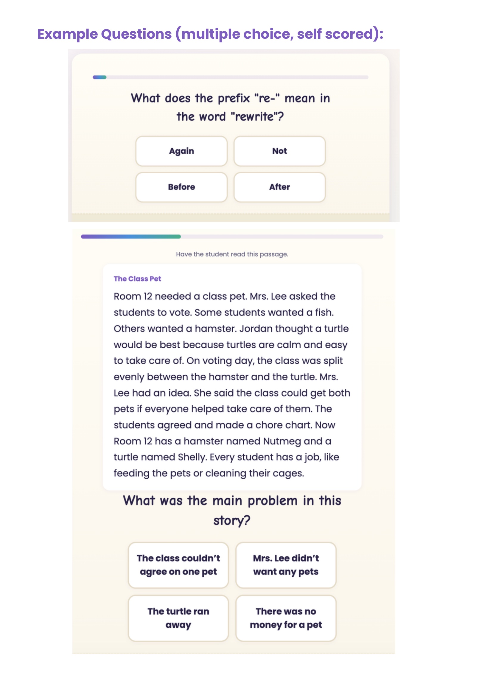 Example reading diagnostic questions